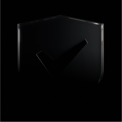 Security shield with tick – robust payroll security